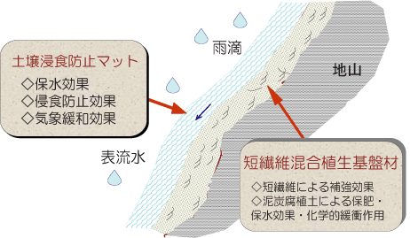 森林土壌模式図